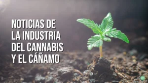 Qué ocurre hoy en la industria del cannabis en el mundo – 23 de junio de 2022